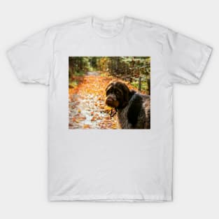 Autumn Monty T-Shirt